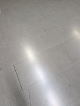 Camilla busco ayuda nueva por la zona